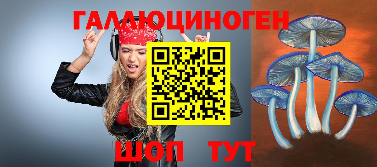Галлюциногенные грибы мицелий  Псилоцибиновые грибы Psilocybine cubensis  Ипатово  Вход с VPN 